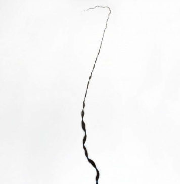 Самые длинные женские волосы: Ксие Квипинг