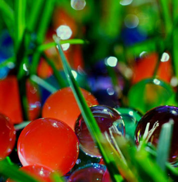 Самая большая коллекция стеклянных шариков: 40000 штук