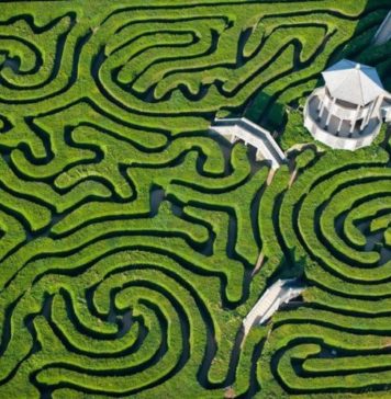 Самый длинный в мире лабиринт: Longleat Hedge Maze