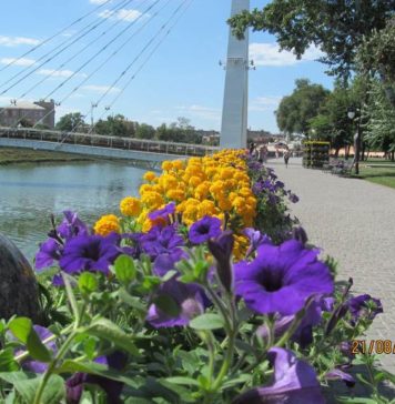 Самая длинная цветочная клумба