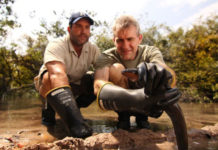 Самое электрическое животное